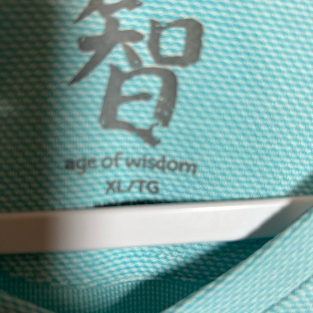 Age of Wisdom Turquoise V-Neck Tee - Picture 2 of 3